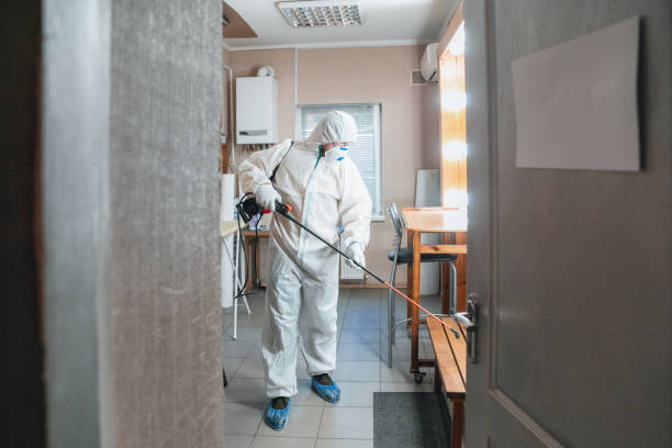 Best Mold Removal for HVAC Installations  in Bray, OK