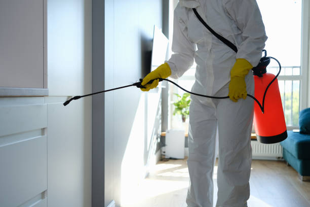 Bray, OK Mold Removal Company