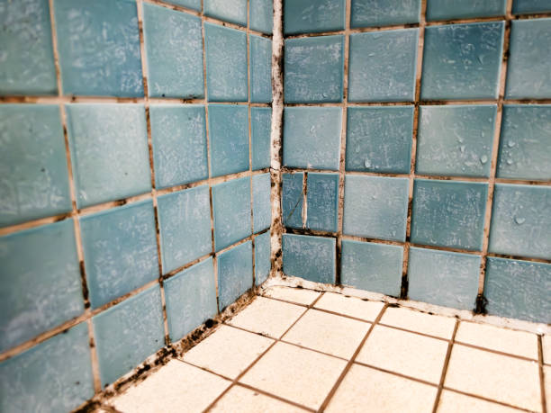 Best Residential Mold Inspection & Testing  in Bray, OK