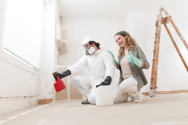 Best Mold Damage Restoration  in Bray, OK
