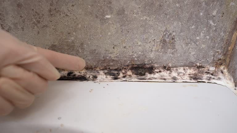 Best Post-Remediation Verification Testing  in Bray, OK